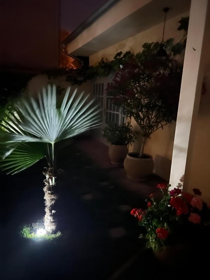 Komárno Monpe Apartmanik S Atmosferou מראה חיצוני תמונה