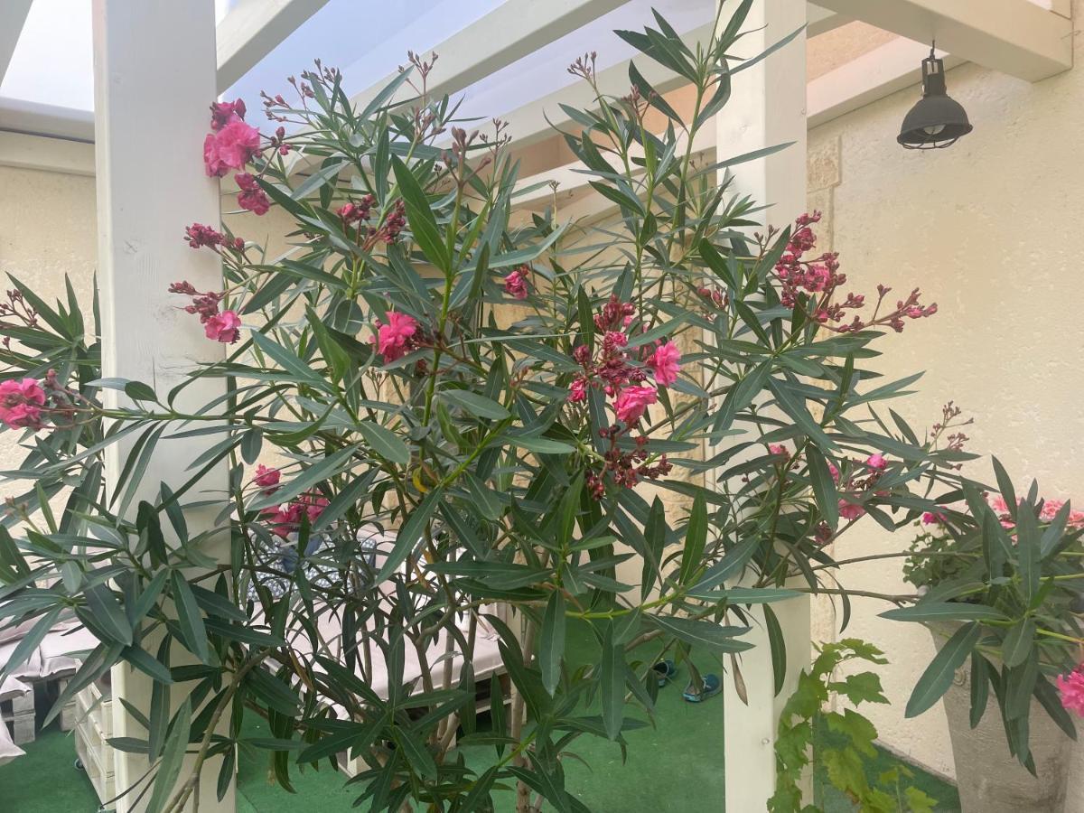 Komárno Monpe Apartmanik S Atmosferou מראה חיצוני תמונה