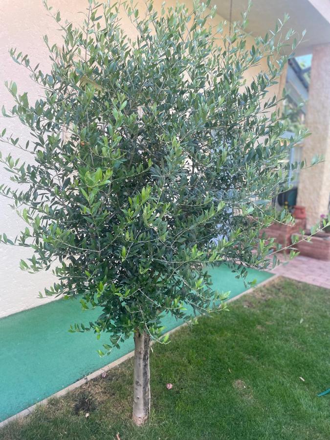 Komárno Monpe Apartmanik S Atmosferou מראה חיצוני תמונה
